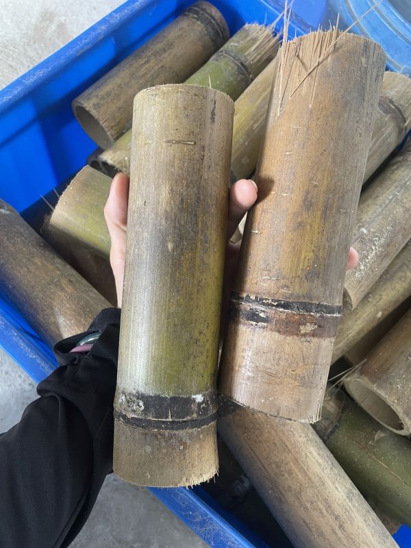 天然竹管 – 卡樂活水族