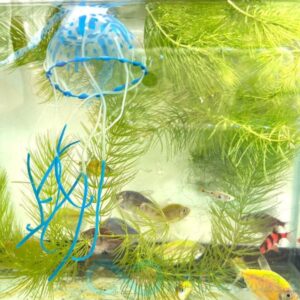 造型水母 水族造景