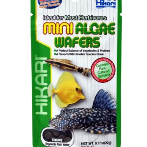 Hikari高夠力-異型飼料