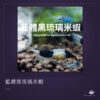 藍體黑琉璃米蝦｜卡樂活水族