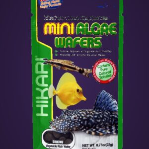 Hikari高夠力-異型飼料 卡樂活水族市集