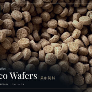 異形飼料 30g｜沉底圓片