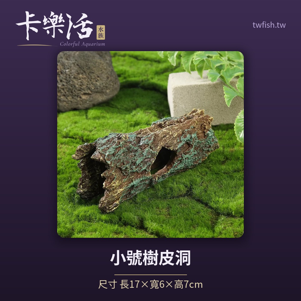 魚缸造景擺件/蝦屋/假山石 精選款:圖片 6